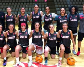 Basquetebol: Jogo do Galitos na Liga Feminina com ação dedicada ao Outubro Rosa. 