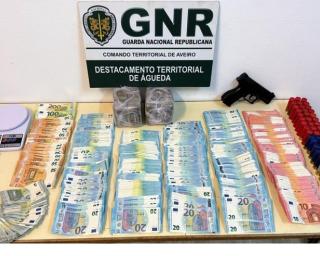 gnr deteve suspeitos de trafico em floresta de albergaria