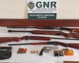 Oliveira do Bairro: GNR detém suspeito de maus tratos a animais e apreende armas em busca domiciliária.