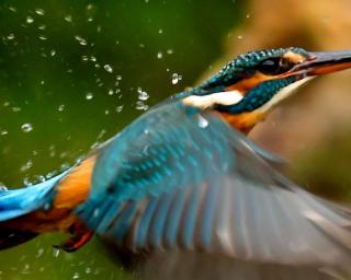 ASPEA lança concurso de fotografia “Projeto Rios: Unir Rios e Pessoas”