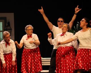 Ílhavo: Município apresenta 5ª edição das Idolíadas.