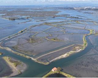 Ilha na ria à venda em leilao online