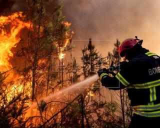 Mais de 300 operacionais combatem incêndio em Oliveira de Azeméis.