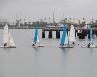 Ílhavo: Vela para todos quer chegar a mais alunos em 2020.