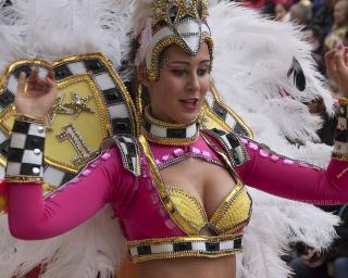 Carnaval de Estarreja 2020: Prossegue o processo de atribuição de bares de apoio no Espaço Folia.