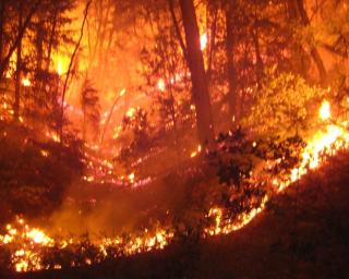 Fogo florestal em Pinheiro da Bemposta está com três frentes.