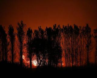 Viatura móvel vai aos concelhos afetados pelos incêndios.