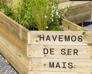 Ílhavo: Plantação no jardim do largo da Casa da Cultura convoca a comunidade.