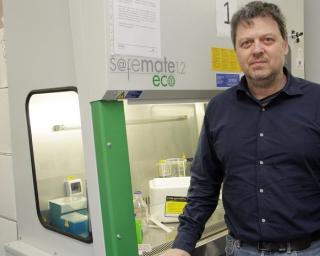 Cientista da Universidade de Aveiro garante bolsa de 2,5 para projeto na área da regeneração de ossos.