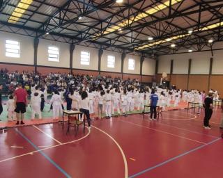 Praticantes de judo voltaram ao tapete.