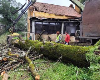 Anadia incluída na lista de concelhos reconhecidos pelo Governo como gravemente afetados pela tempestade “Kristin”.