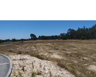 Aquém Renasce guia visita às obras de novo lar.