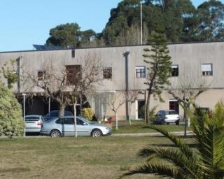 Aveiro: Santa Casa lamenta 15 falecimentos no decurso da pandemia. Ribau Esteves denuncia falta de meios de diagnóstico.