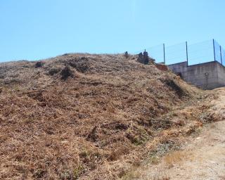 Oliveira do Bairro: Autarquia promove sessões de esclarecimento sobre limpeza de matos.