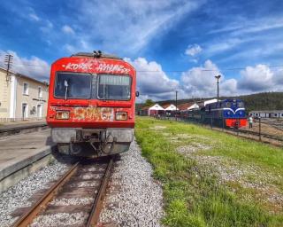 Movimento pela Linha do Vouga pede autocarros como alternativa em hora de ponta.