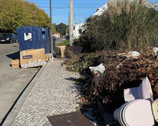 ASPEA apela à limpeza de zona insalubre em Santa Joana.