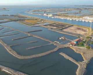 Aveiro: Associação Comercial incentiva formação sobre investimento em marinhas.