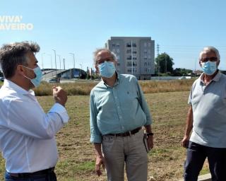 Aveiro: PS dedica primeiras ações de rua à mobilidade urbana.