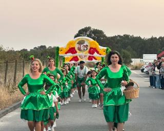 marcha da escola da gafanha de aquem desfilou para a comunidade
