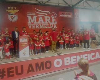 Ílhavo: Toni apanhado pela Maré Vermelha do Benfica.