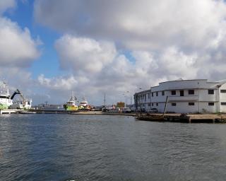 APA abre concurso para escolha de projetista na reabilitação da avenida do terminal bacalhoeiro.