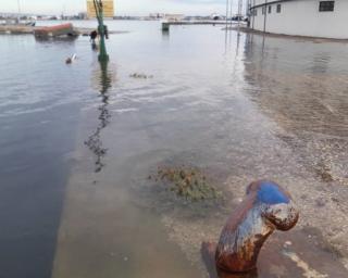 Porto de Aveiro avança para a fase de projeto na empreitada de reabilitação da marginal dos bacalhoeiros na Gafanha da Nazaré.
