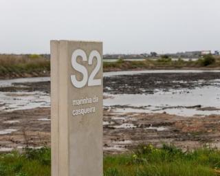 UA prepara abertura da Marinha da Casqueira à comunidade para atividades científicas e náuticas.