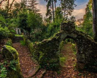 Secretário de Estado na mata do Bussaco para perceber dimensão dos prejuízos.