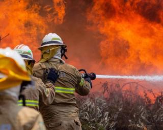 Tribunal: Suspeito de fogo posto ficou em prisão preventiva.