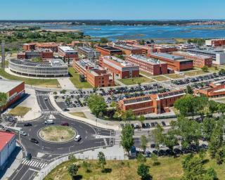 Aveiro: Sinto que vivo num país que acha que está tudo mal. Há muita coisa bem feita - Reitor da UA.