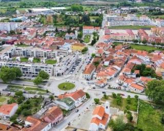 Mealhada: Município promove Semana da Floresta Autóctone.