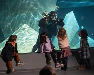 Ílhavo: Museu Marítimo prepara Conversa de Mar sobre Lei do Mar, as potencialidades da biotecnologia e a biodiversidade na ZEE portuguesa.