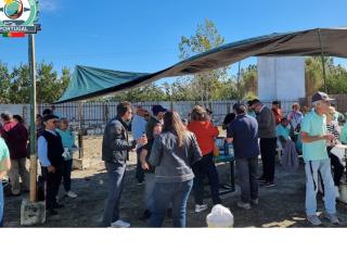 moliceiro vespa clube celebra dia do associado