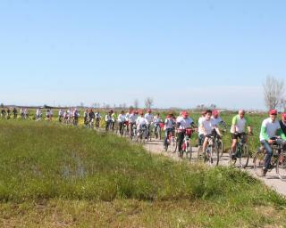 Murtosa: Passeio da Primavera adiado para sábado.