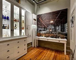 Fundação Casa Hermes e o Instituto Técnico de Alimentação Humana (ITAU) promovem envelhecimento ativo em Aveiro