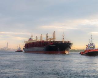 Navio com carga de madeira do Brasil inicia rota para Aveiro.