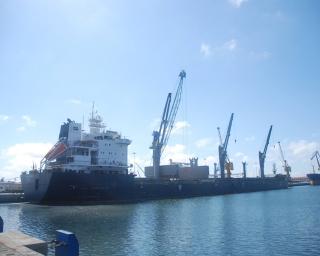 Porto de Aveiro tem em descarga o maior navio de sempre a entrar na área portuária.