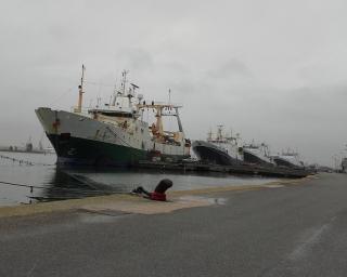 Aveiro: Senos da Fonseca fala sobre livro que evoca a história da pesca do bacalhau.