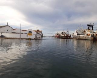 Portugal aumenta quota de pescada, goraz, peixe-espada e carapau.