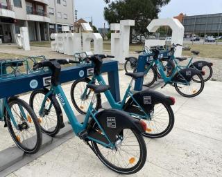 Aveiro: PS não se opõe à BUGA. Ela é uma herança da sua gestão - Paula Urbano. 