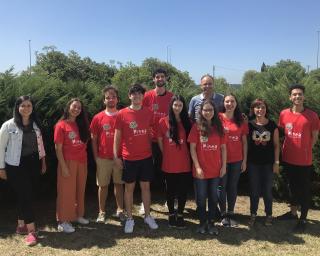 Jovens vigiam a floresta em Oliveira do Bairro.