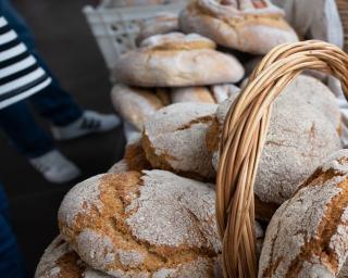 Ílhavo: Festa do Pão começa com formação em Vale de Ílhavo.