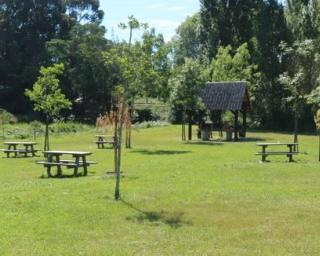 Aveiro: Inauguração do Parque Aventura marcada para este sábado.