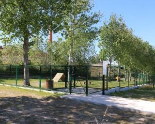 Aveiro inicia este sábado nos parques da cidade a “Eco Aventura – Ação pelo Ambiente”.