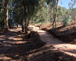 Estudantes universitários ajudam a limpar Parque da Vista Alegre.