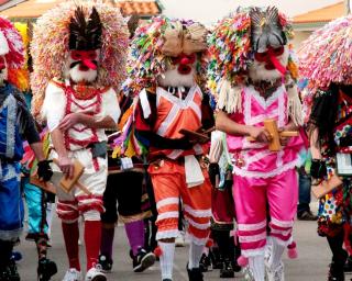 Carnaval Tradicional de Vale de Ílhavo: Genuinamente português, em edição especial digital.