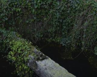 Corpo encontrado em poço de Ovar não será de grávida da Murtosa.