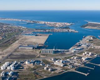 Porto de Aveiro e UA juntos em projeto de combate a espécies invasoras.