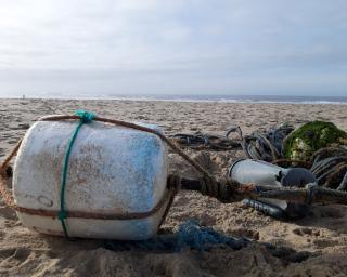 Não lixes diz que continua a cair lixo da pesca nas praias.