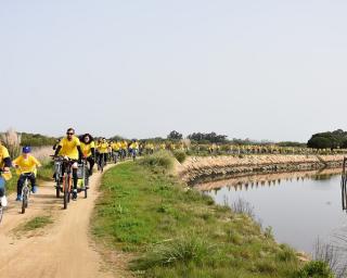 Murtosa Ciclável reuniu 350 ciclistas.